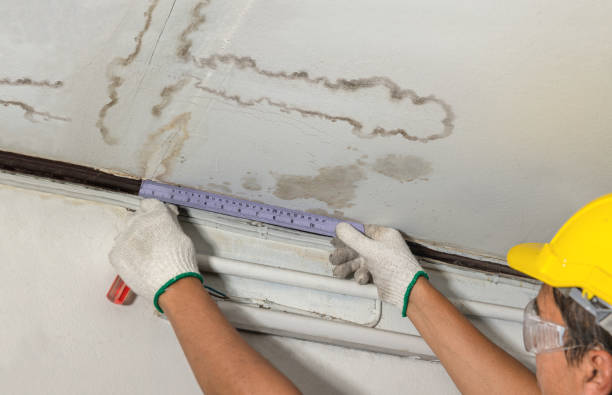 Reliable Water Damage contractor in Forestburg, TX by Water Damage Irwin